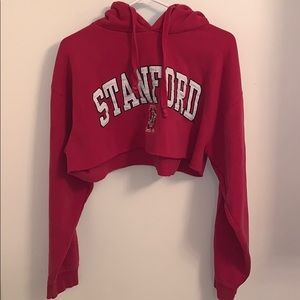 Cropped Stanford Hoodie